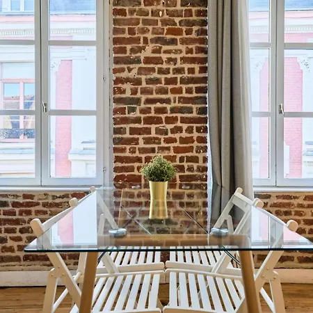 Apartment Grand-place & Vieux-lille: Equipped Duplex *