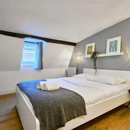 Grand-place & Vieux-lille: Equipped Duplex Apartment *